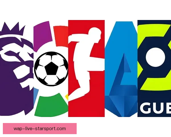 足球直播365全方位赛事直播比分数据分析平台覆盖五大联赛即时资讯